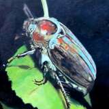 Картина «Майский жук», канва, Масляные краски, Реализм, Натюрморт, Украина, 2005 г. - фото 1