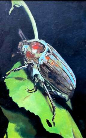 Картина «Майский жук», канва, Масляные краски, Реализм, Натюрморт, Украина, 2005 г. - фото 1