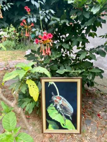 Картина «Майский жук», канва, Масляные краски, Реализм, Натюрморт, Украина, 2005 г. - фото 3