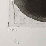 FOERSTER, HEIDI (geb. 1932), 5 Radierungen, davon 3 koloriert, - фото 14