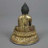 Buddha Shakyamuni - photo 6