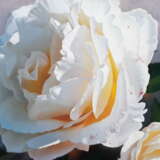 Белые розы Peinture à l'huile Hyperréalisme Biélorussie 2022 - photo 3