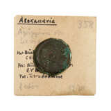 Römische Provinzialprägung, Alexandria - AE 23 Agrippina minor, - photo 1