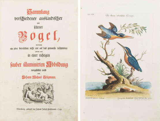 Seligmann, Johann Michael - фото 1