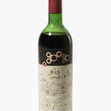 Chateau Mouton Rothschild - фото 1