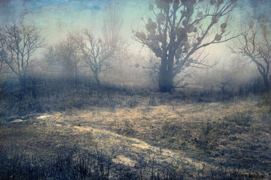 Along Uncharted Paths. 12 pièces Papier photographique Giclée Néo-impressionnisme Paysage rural Ukraine 2021 - photo 1