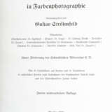 Ströhmfeld, Gustav (Hrsg.) Das Schwabenland in Farbenph… - фото 2