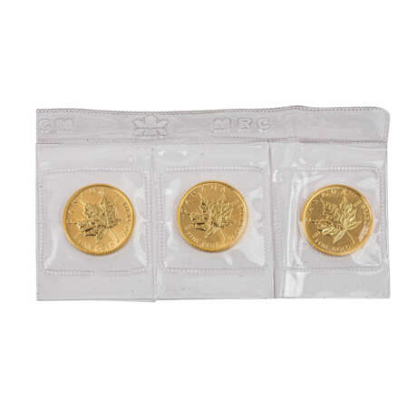 Canada - 3 x 10 Dollars 2009, total 3/4 Ounce Gold fine, - Foto 2