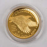 USA/GOLD - 100 Dollars 2017, American Liberty 225th Anniversary Gold Coin, - Foto 4