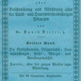 Dietrich,D.N.F. - photo 1