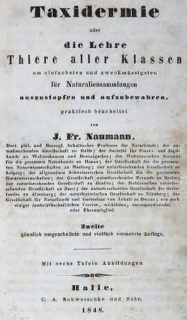 Naumann,J.F. - Foto 1
