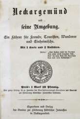 Neckargemünd und seine Umgebung.