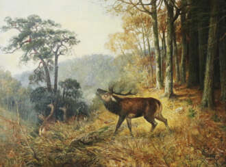 Jungblut, Johann