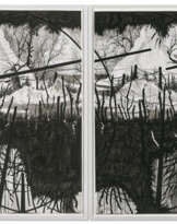 YEHUDIT SASPORTAS (B. 1969)