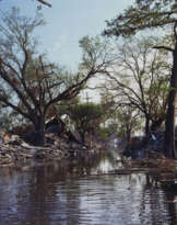 ROBERT POLIDORI (B. 1951)