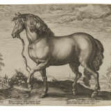 HENDRICK GOLTZIUS (1558-1617) AFTER JAN VAN DER STRAET (1523-1605) - фото 1