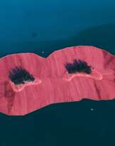 Wolfgang Volz and Christo