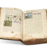 BENARD, Jean (author), Ma&#238;tre des Chroniques anglaises de Charles IX (illuminator, fl.1560s) - Foto 3