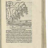 HERBARIUS LATINUS — Tractatus de virtutibus herbarum Venice:... - фото 1