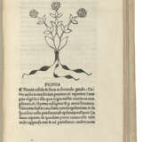 HERBARIUS LATINUS — Tractatus de virtutibus herbarum Venice:... - фото 2