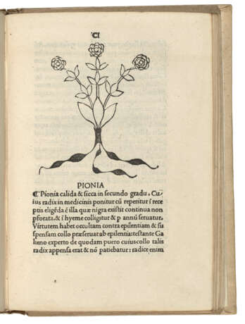 HERBARIUS LATINUS — Tractatus de virtutibus herbarum Venice:... - Foto 2