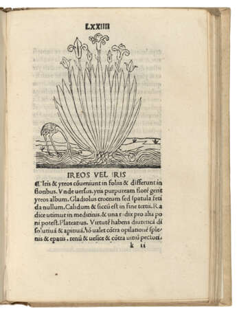 HERBARIUS LATINUS — Tractatus de virtutibus herbarum Venice:... - Foto 3