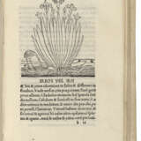 HERBARIUS LATINUS — Tractatus de virtutibus herbarum Venice:... - Foto 3