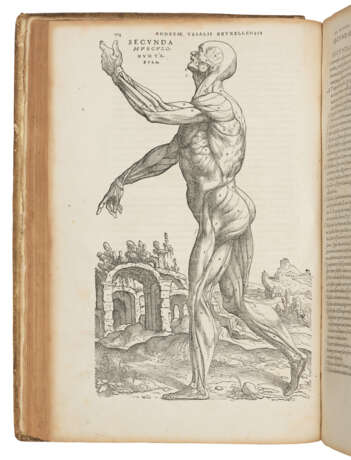 VESALIUS, Andreas (1514-64) - фото 1