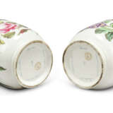 A PAIR OF DERBY PORCELAIN TWO-HANDLED BOTANICAL ICE-PAILS - photo 4