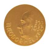 Theodor Heuss, Künstlermedaille (Albert Holl), 14,02 Gramm 986/1.000 GOLD legiert, - Foto 1