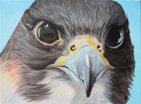 The Falcon's Look Leinwand Acrylfarbe Realismus 2018 - Foto 1