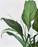 Finland. Peace Lily / Lady’s Happiness