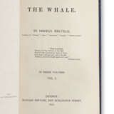 The Whale - photo 3