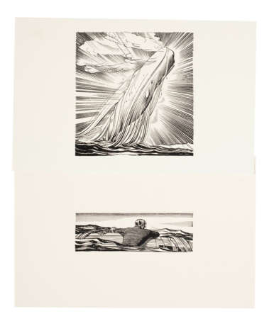 Illustrations for Moby Dick - Foto 4