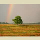 “Rainbow” Photographic paper Digital photography Color photo Landscape painting 2007 - photo 1