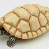 Miniatur-Schildkröte - фото 1