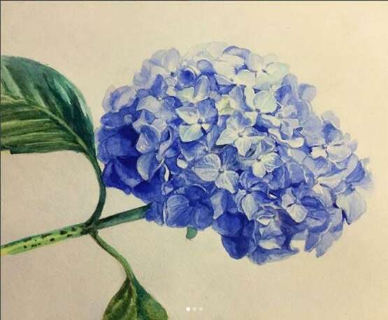 “Blue hydrangea” Paper Watercolor Realist Still life 2018 - photo 1