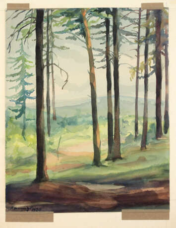 Zeisigwald Chemnitz - Henniger, P. 1930 - Foto 1