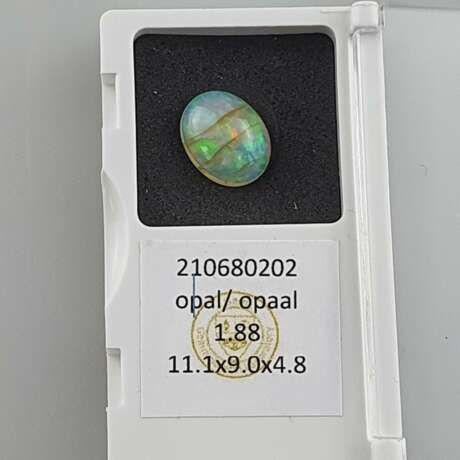 Loser Opal - photo 8