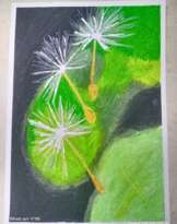 Lightness Lightness