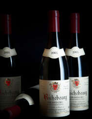 Domaine Hudelot-Noellat, Richebourg 2005