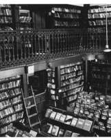 DAYANITA SINGH (B. 1961)