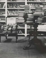 DAYANITA SINGH (B. 1961)