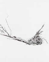 Rachel Goodyear