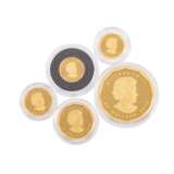 Kanada - 2012 Gold Maple Leaf Set zu 5 Münzen, Set 192 von nur 750, - фото 4