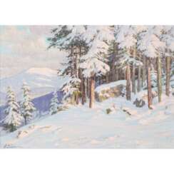 WEIMANN, PAUL, zugeschrieben (1867-c.1945), "Riesengebirge im Schnee",