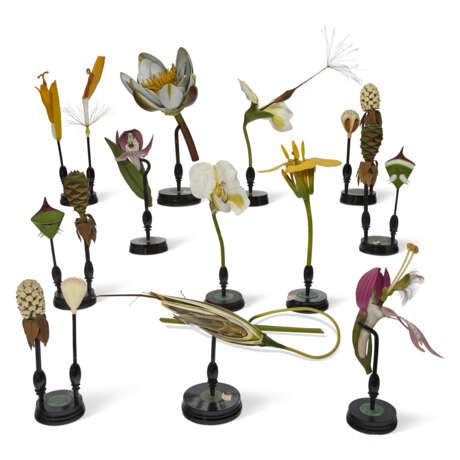 A GROUP OF CARVED WOOD MODELS OF FLOWERS - Foto 2