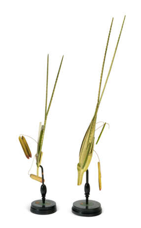 A PAIR OF GERMAN CARVED WOOD AND PAPIER MACHE BOTANICAL INSTRUCTIONAL SPECIMENS OF RYE - фото 3