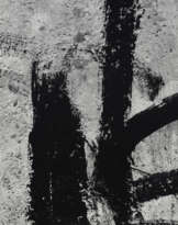 AARON SISKIND (1903–1991)