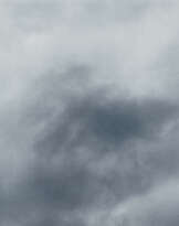 ANNE COLLIER (B. 1970)